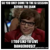 Going to SI at test time