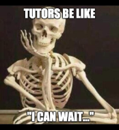 Wait Time